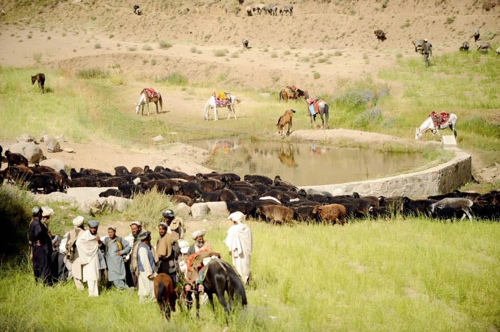 زمان دادخواهی جهانی فرا رسیده است