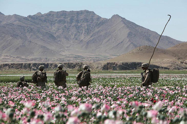 روسیه: «سیا» در قاچاق مواد مخدر در افغانستان دست دارد