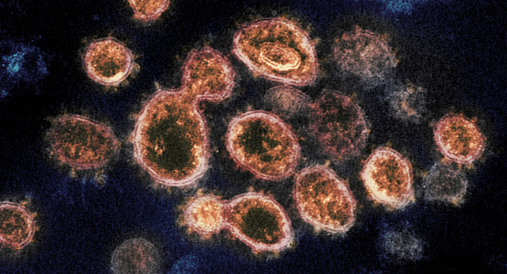 اولین موارد «عفونت ابدی» ویروس کرونا شناسایی شد