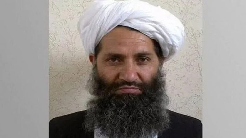 طالبانو مشر ته منسوبې څرګندونې: افغانستان د هېڅ ګاونډی پر وړاندې بد نیت نه لری