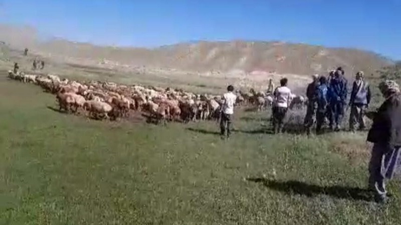 میانجیگری طالبان در اختلافات کوچی ها و شیعیان محلی بامیان