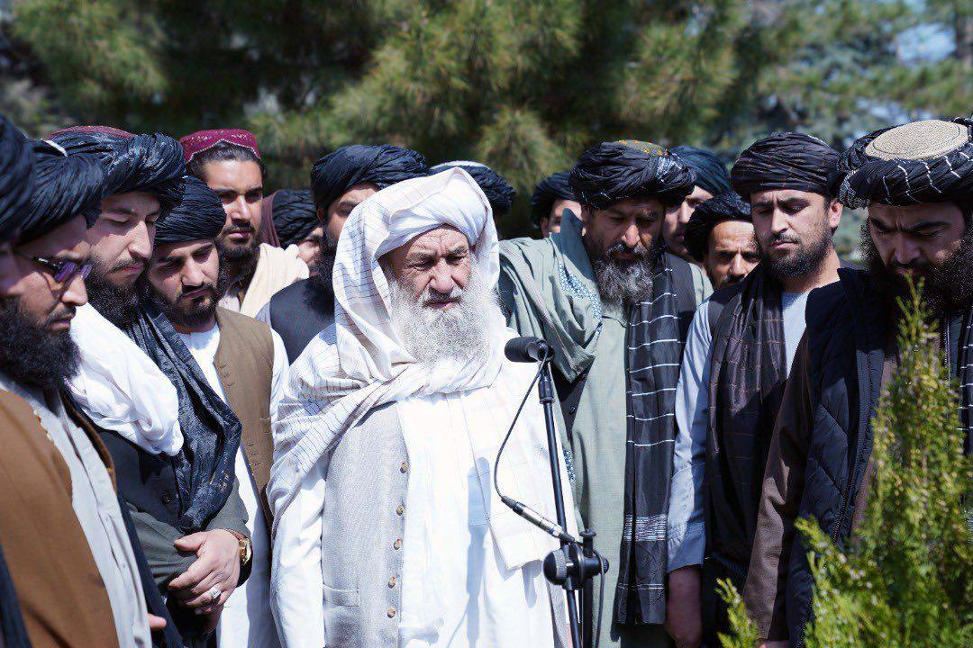 برای شادابی محیط زیست و افغانستان مرفه و پیش رفته یک اصله نهال غرس کنید - خبرگزاری افغان ایرکا