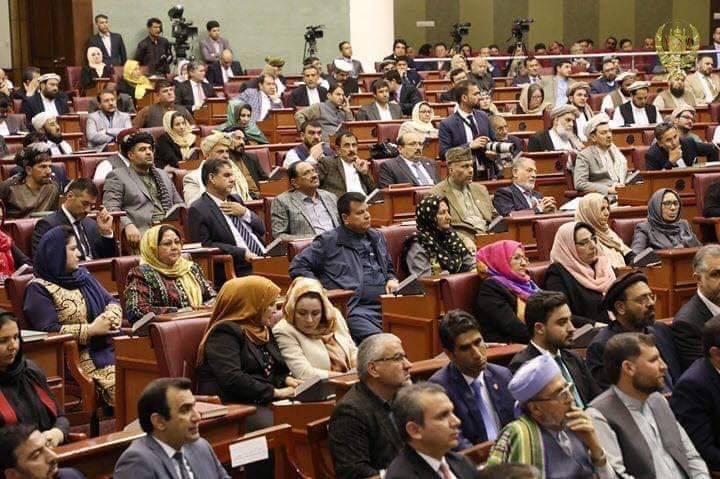 مجلس نماینده گان خواستار بازداشت عاملان قتل ناکامورا و همکارانش شد - خبرگزاری افغان ایرکا