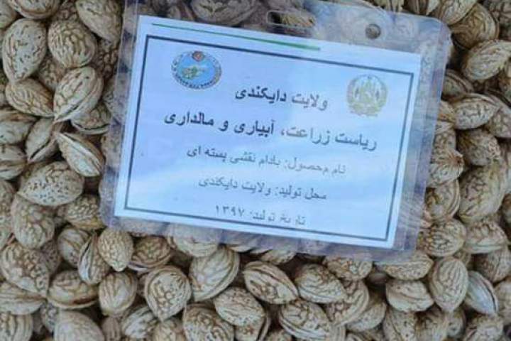بادام پُر آوازه دایکندی به مراکز تجاری جهان صادر می شود - خبرگزاری افغان ایرکا