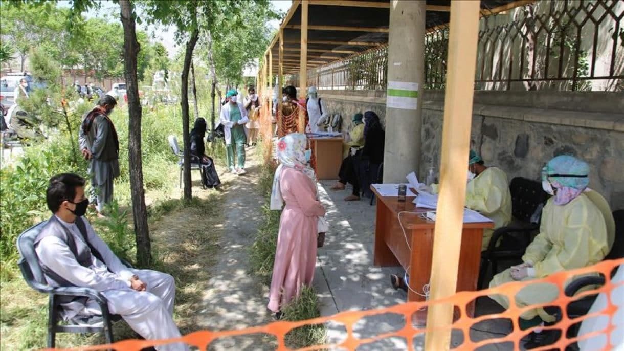ثبت 177 مورد جدید ابتلا و مرگ 13 بیمار در شبانه روز گذشته - خبرگزاری افغان ایرکا