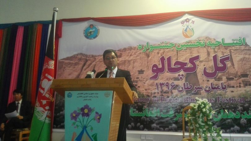 نخستین جشن واره گل کچالو در بامیان برگزار شد - خبرگزاری افغان ایرکا