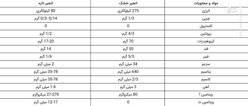  چرا باید انجیر خورد؟ - تصویر دوم خبر