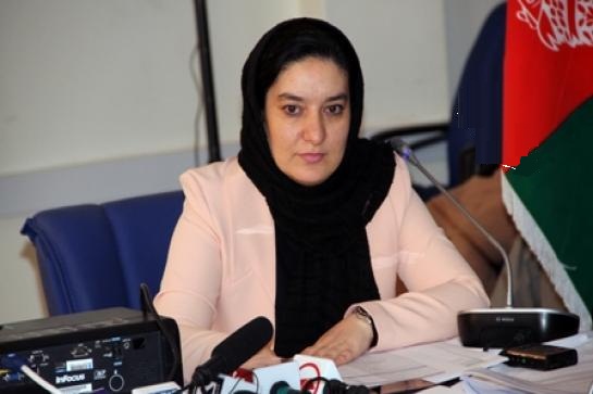 وزارت داخله: محل بودوباش «وسیمه بادغیسی» در ترکیه تثبیت گردید - تصویر دوم خبر