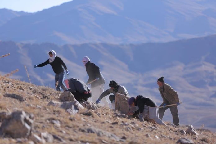 گزارش تصویری از کارزار احیای جنگلات در مناطق مرکزی افغانستان گزارش تصویری از کارزار احیای جنگلات در مناطق مرکزی افغانستان