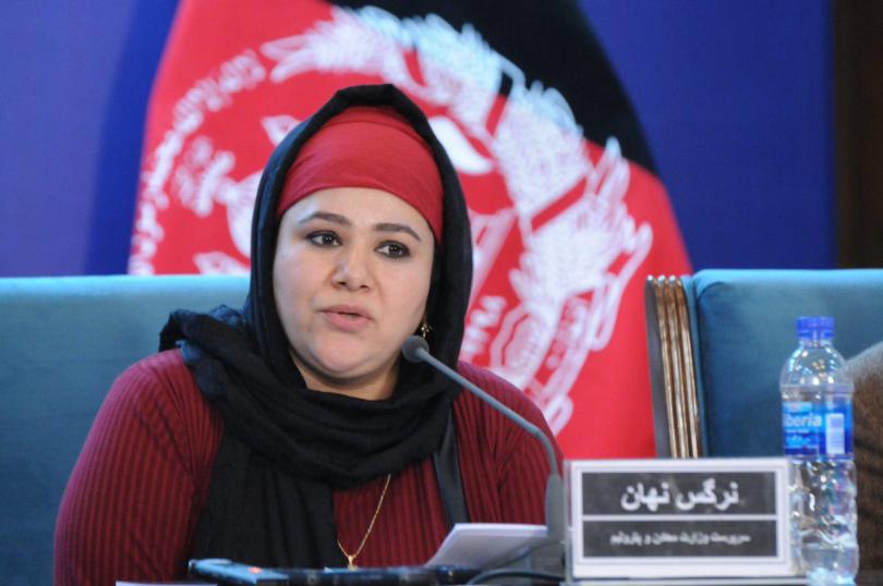 نرگس نهان: شماری از اعضای مجلس نمایندگان و شورای ولایتی در قاچاق معادن دست دارند - خبرگزاری افغان ایرکا