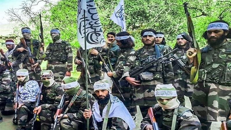  «قطعه سبز» نیروی جدید طالبان برای جلوگیری از قاچاق چوب به پاکستان  - خبرگزاری افغان ایرکا