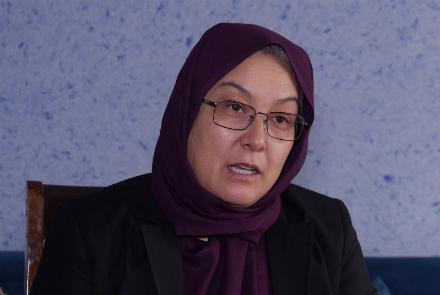 ملیحه حسن: حکومت 4روز وقت دارد یک عضو کمیسیون انتخابات را معرفی کند  - خبرگزاری افغان ایرکا