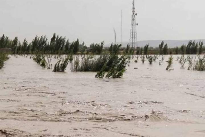 هشدار اداره هواشناسی نسبت به وقوع سیلاب در برخی مناطق کشور - خبرگزاری افغان ایرکا