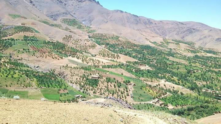 چهار نیروی خیزش مردمی در حمله ی طالبان در دایکندی کشته شدند - خبرگزاری افغان ایرکا