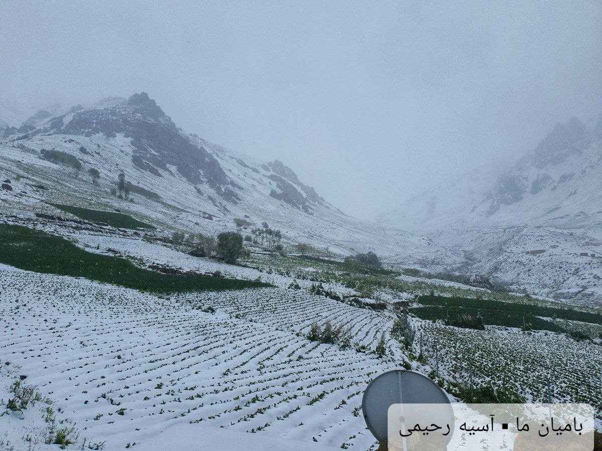 بارش برف نابه هنگام در بامیان در آستانه فصل تابستان! - تصویر دوم خبر