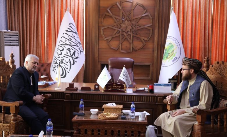 سرپرست وزارت زراعت طالبان با سفیر ایران دیدار کرد - خبرگزاری افغان ایرکا