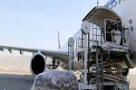 صادرات 500 تُن جلغوزه به ارزش 40 میلیون دالر از طریق دهلیز هواى افغانستان-چین - خبرگزاری افغان ایرکا