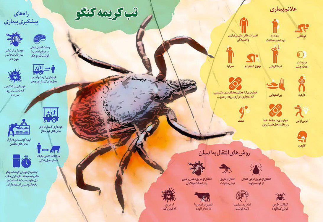 بیماری تب کریمه کنگو در هرات مشاهده شد - تصویر دوم خبر