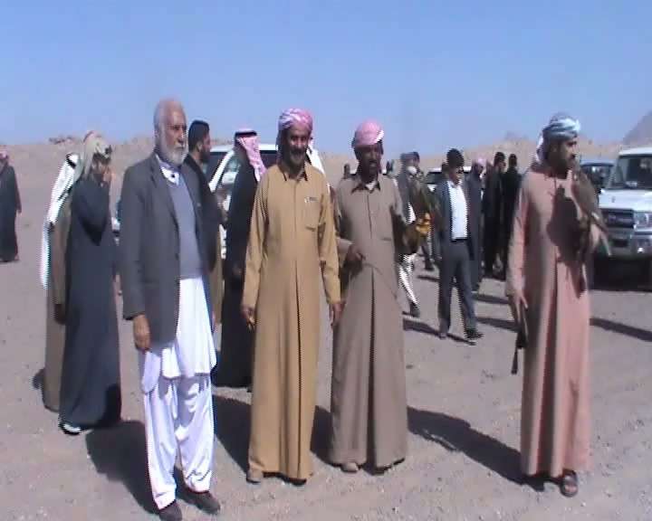 نابودی محیط زیست و شکار پرندگان کم یاب فراه توسط شیوخ عرب - تصویر سوم خبر