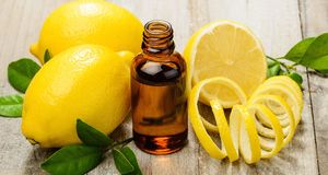  میوه ای قوی تر از شیمی درمانی - خبرگزاری افغان ایرکا
