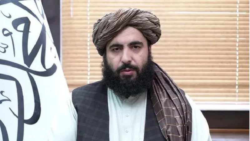 واکنش های تند به حملات هوایی پاکستان بر کنر و هلمند؛ طالبان از پاسخ «حساب شده» سخن گفتند - خبرگزاری افغان ایرکا