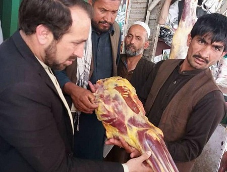 از فروش گوشت اسب در دانشگاه قندوز جلوگیری شد - خبرگزاری افغان ایرکا