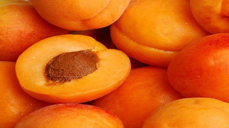 چرا نباید در خوردن این میوه تابستانی زیاده روی کرد؟