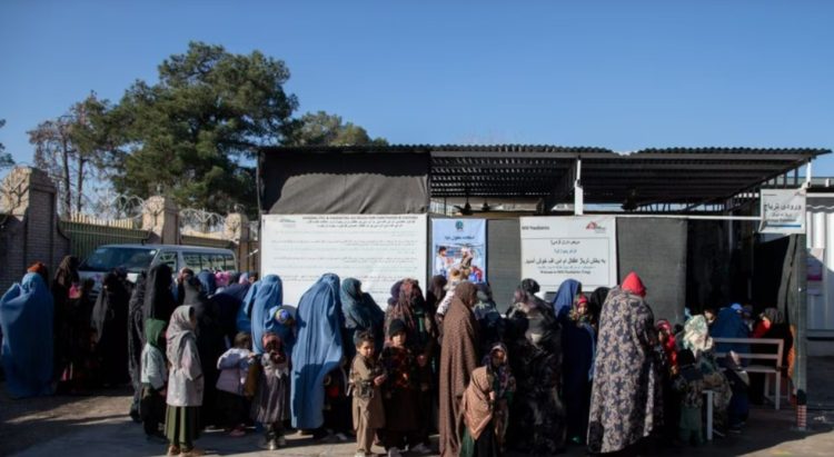 قربانی تبعیض و محدودیت طالبان؛ زنان آواره داخلی در هرات از پزشکان شکایت دارند