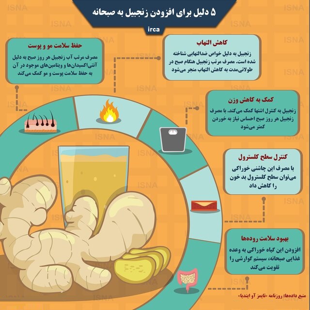  5 دلیل برای افزودن زنجبیل به صبحانه (اینفوگرافی) - تصویر دوم خبر