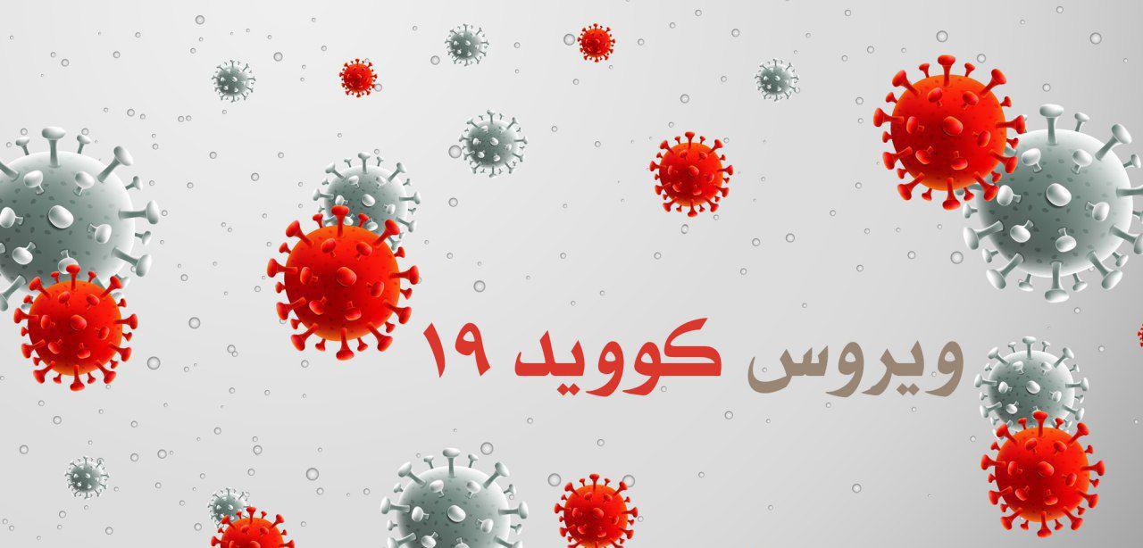  17 مورد جدید ابتلا به کووید-19 در چین  - خبرگزاری افغان ایرکا