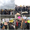 ویدیو: تجمع اعتراض به دستورات ترامپ در فرودگاه جان اف کندی - خبرگزاری افغان ایرکا