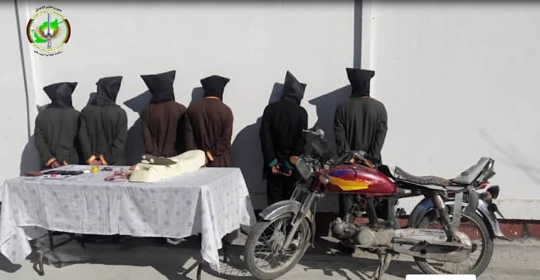 مسئول ارتباطی «آی اس آی» پاکستان و چهار عضو شبکه ی حقانی در پکتیکا بازداشت شدند - خبرگزاری افغان ایرکا