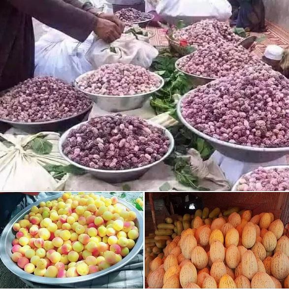 میوه های رنگ رنگ جاغوری  - تصویر دوم خبر