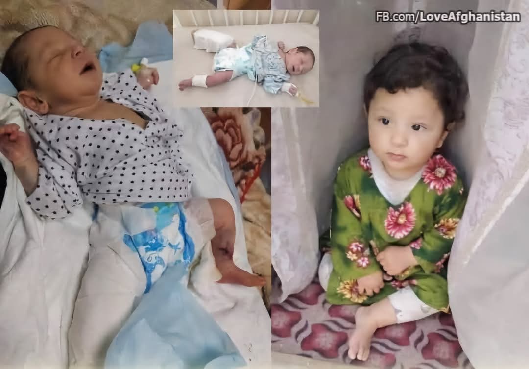 سالروز حمله به زایشگاه دشت برچی؛ یاد بود نوزادانی که اکنون پنج ساله می شدند - تصویر دوم خبر