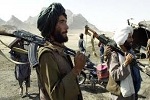 طالبان قربانی ماین دست ساز خود شدند - خبرگزاری افغان ایرکا