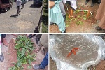 اعتراض جالب شهروندان قندهار نسبت به بی توجهی مسئولان حکومت - خبرگزاری افغان ایرکا