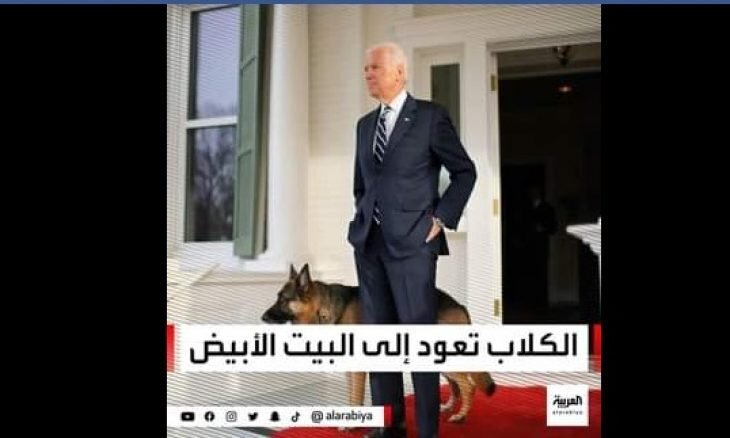 العربیه در واکنش به پیروزی بایدن: سگ ها به کاخ سفید برمی گردند! - تصویر دوم خبر