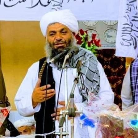 والی جدید کابل معرفی شد - تصویر دوم خبر