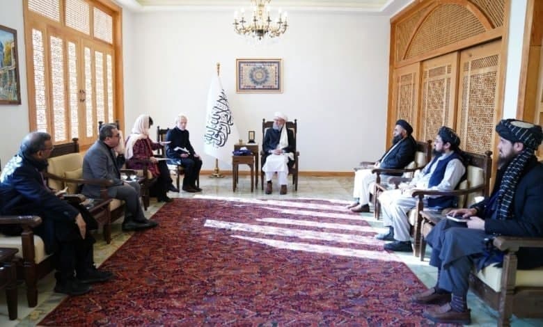  معاون نخست وزیر طالبان: هیچکس اجازه  محاکمه صحرایی را ندارد - خبرگزاری افغان ایرکا
