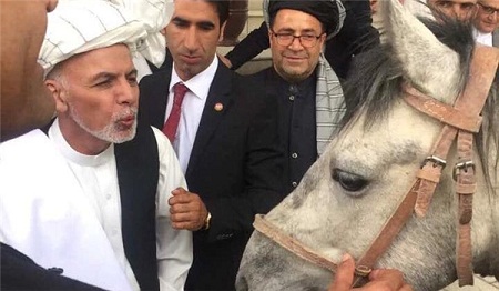 فقر رهبری و حقارت سیاسی - خبرگزاری افغان ایرکا