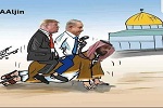 یک تصویر، اما گویایی دنیای از ناگفتنی ها! - خبرگزاری افغان ایرکا