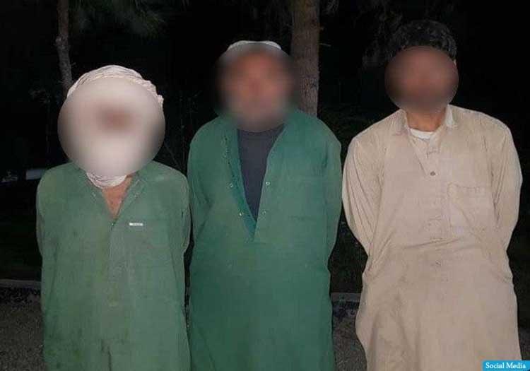  سه نفر به اتهام دزدی 140 راس گوسفند و بز در هرات بازداشت شدند  - خبرگزاری افغان ایرکا