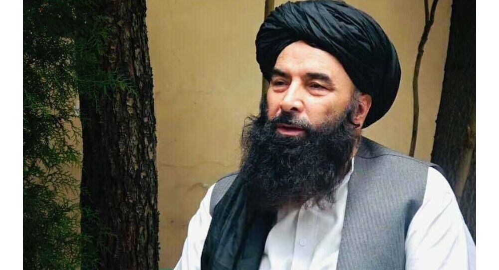 شورای راه نجات: طالبان اگر با مردم تعامل نکند حکومت شان سقوط می کند - خبرگزاری افغان ایرکا