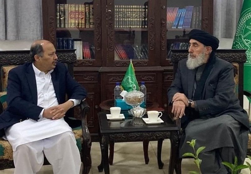 تاکید سفیر پاکستان و حکمتیار به ایجاد دولت فراگیر در افغانستان  - خبرگزاری افغان ایرکا