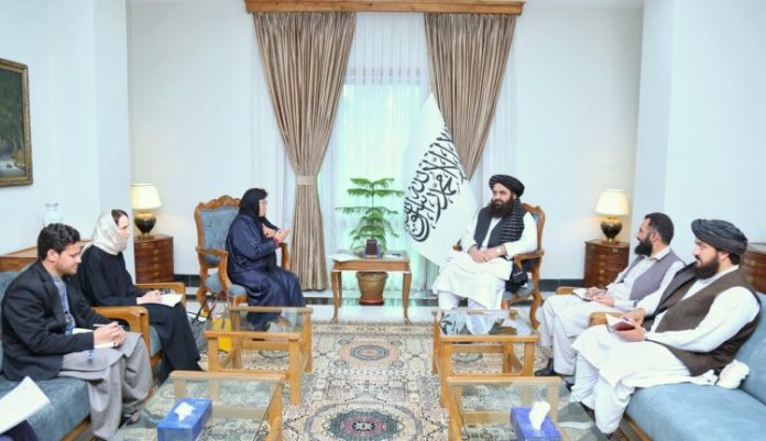 دیدار متقی با نماینده سازمان ملل؛ تأکید طالبان بر همکاری مشروط با سازمان ملل - خبرگزاری افغان ایرکا