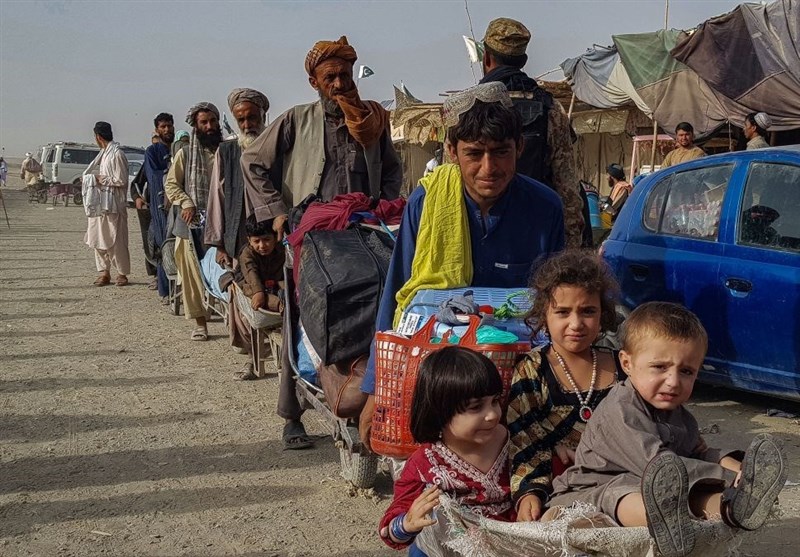 انتقاد عفو بین الملل از رفتارهای لهستان علیه پناهجویان - خبرگزاری افغان ایرکا