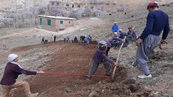 بوستون هرالد: طالبان هزاره ها و دیگر رقبای قومی خود را عمدا گرسنه نگه می دارد - خبرگزاری افغان ایرکا