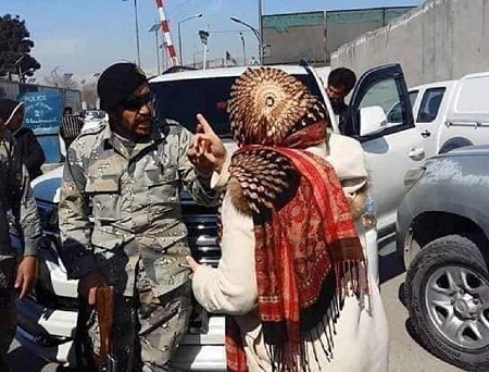 دستور بازداشت پروین درانی صادر شد - خبرگزاری افغان ایرکا