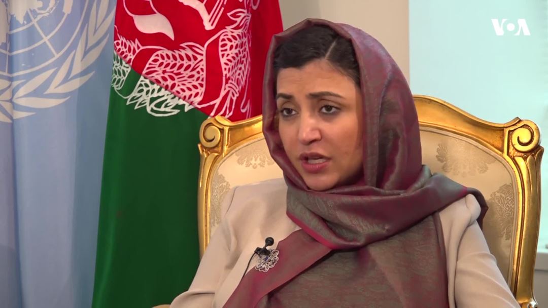 عادله راز: توافق صلح نهایی شود یا نشود، انتخابات باید برگزار شود - خبرگزاری افغان ایرکا