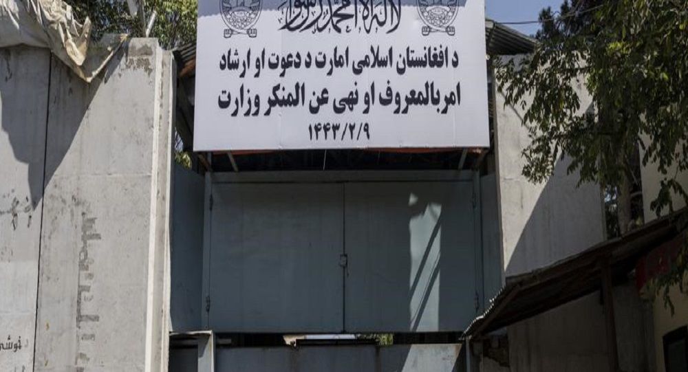 رسانه: طالبان اجرای موسیقی زنده را در مراسم عروسی ممنوع کردند - خبرگزاری افغان ایرکا